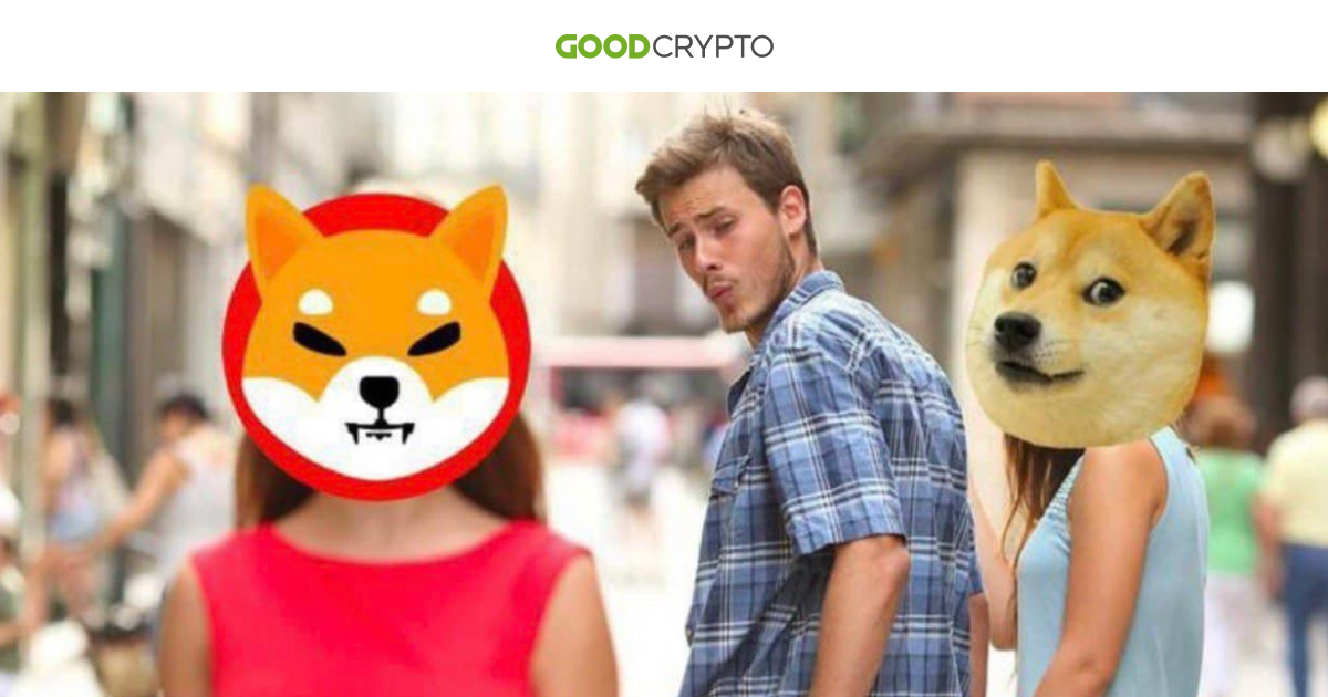 Sorry, DOGEð