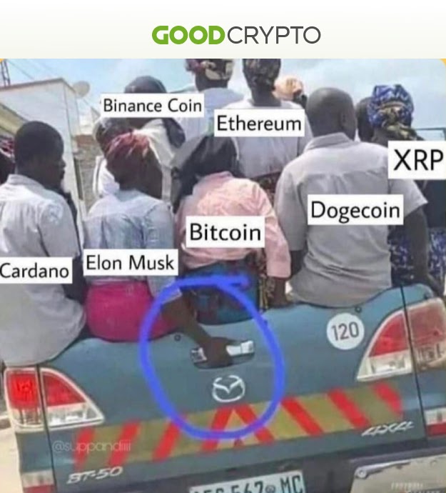 Cryptomeme of the week