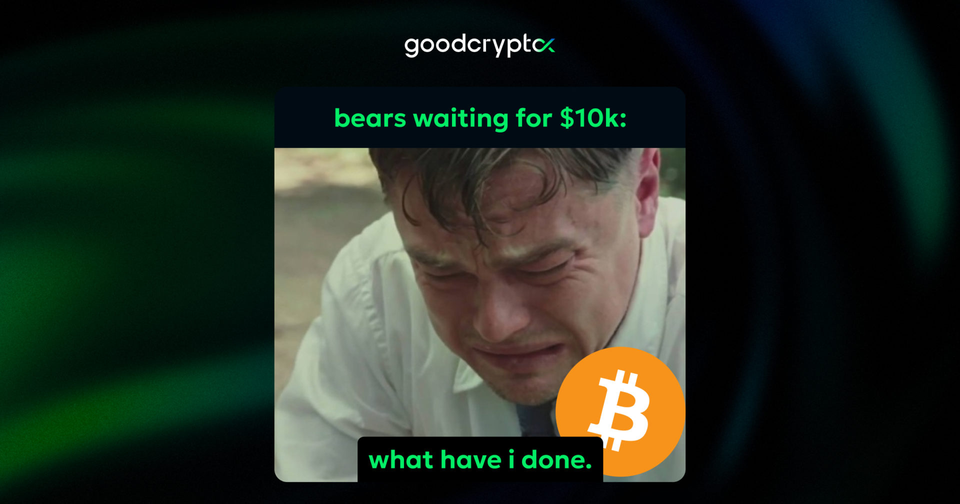 crypto meme